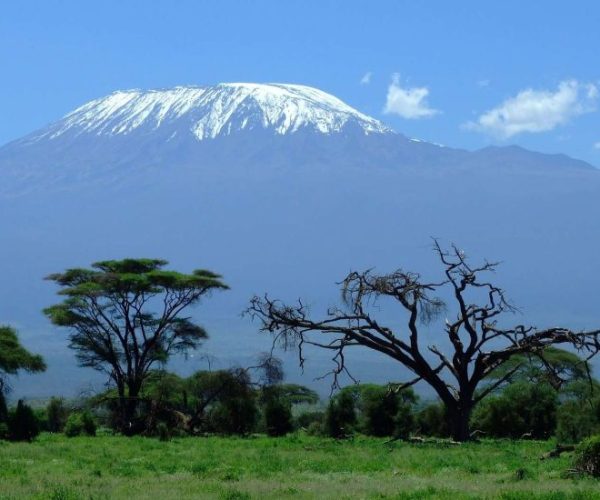 OUT-OF-AFRICA-7-qqo06l80o7t791x4jwa1mooislrvdr4u4z97uv6a2k