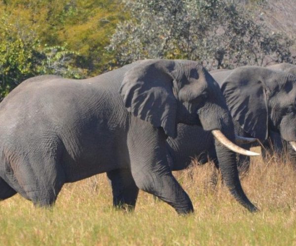 PARC-KARAFUE-CHUTES-VICTORIA-6-qqo06ydrbwb7rle0f1ytllcz3zz0dil2use0kqmrng