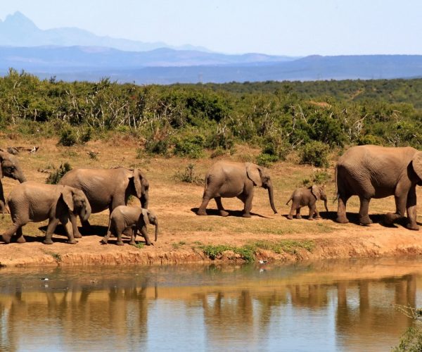 PECHE ET SAFARI (7)