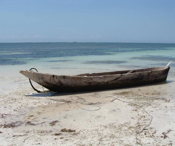 PHTOS-DIVERS-FANIEZ-LEIF-MOURAT-2011-1333