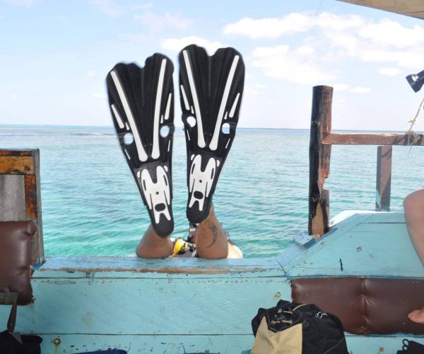 PHTOS-LEIF-FANIEZ-FEVRIER-2011-176