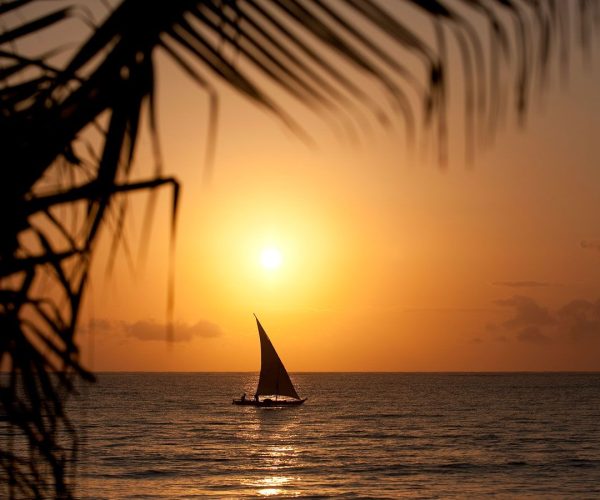 Palm-Beach-Dow-1200x900