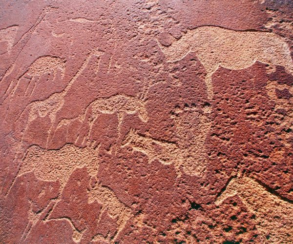 Pistes du Namib & Terres Sauvages (2)