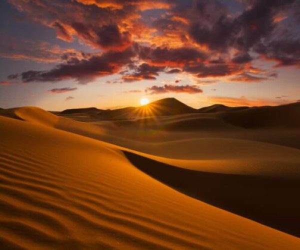Pistes du Namib & Terres Sauvages (4)