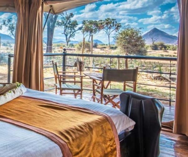 RHINO-SAFARI-BEACH-6-qr8vfxtblmuti51gpebn4vvyveor71aqj15pjarj3w