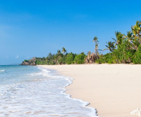 RWANDA ET DIANI BEACH (2)