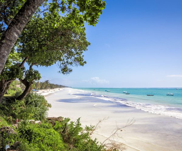 RWANDA ET DIANI BEACH (3)