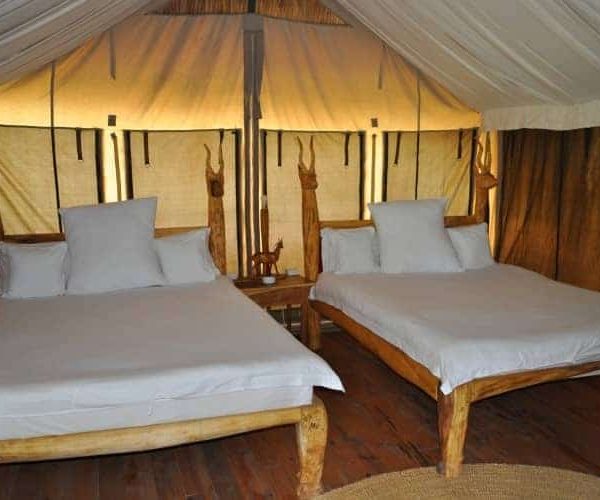 Roika-Tarangire-Tented-Lodge-1