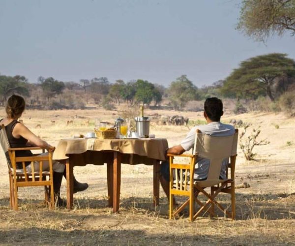 Ruaha-River-Lodge-1