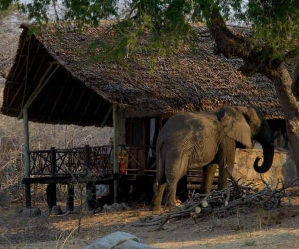 Ruaha-River-Lodge-2