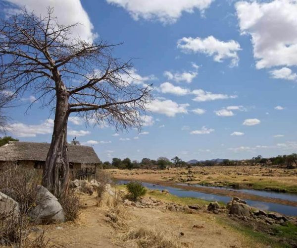 Ruaha-River-Lodge-3