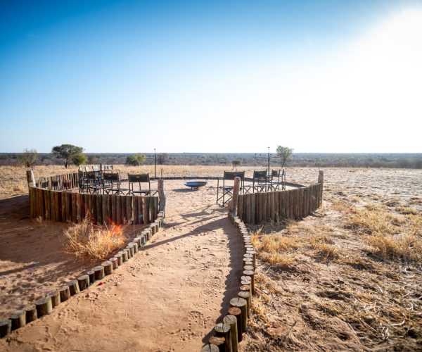 SABLE SAFARI (6)