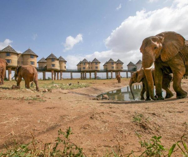 SALT-LICK-SAFARI-LODGE-12