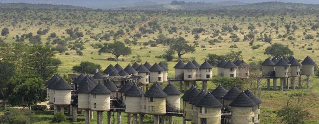 SALT LICK SAFARI LODGE (13)