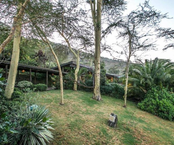 SAROVA-LION-HILL-GAME-LODGE-1