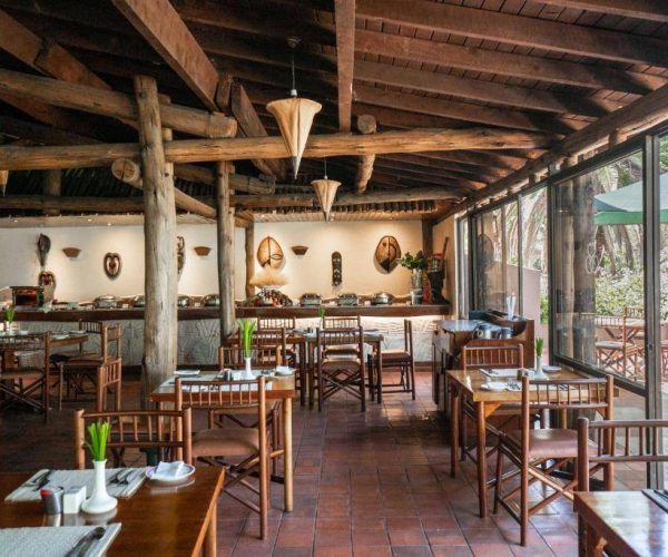 SAROVA-LION-HILL-GAME-LODGE-12