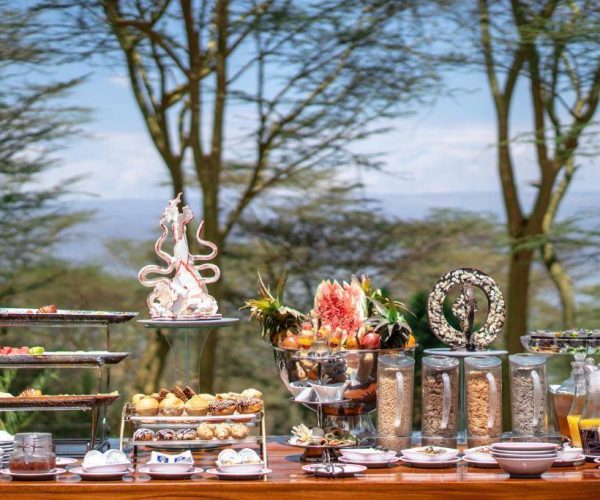 SAROVA-LION-HILL-GAME-LODGE-7