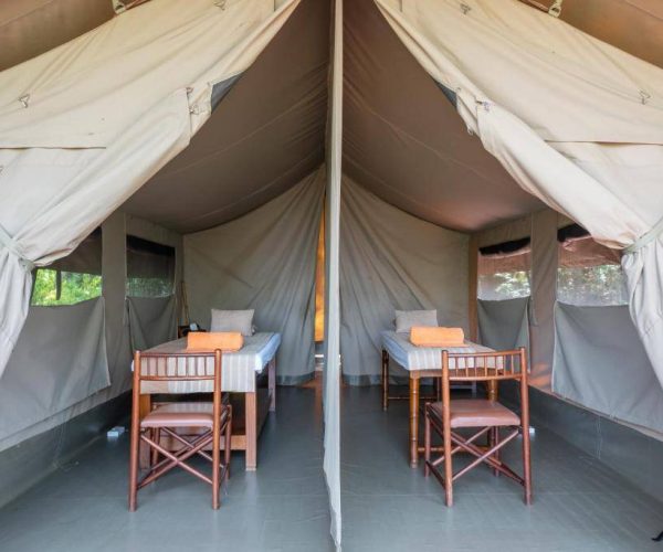 SAROVA-LION-HILL-GAME-LODGE-8