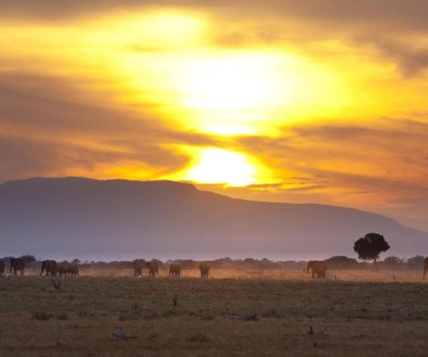 SEJOUR PLONGEE ET SAFARI (8)