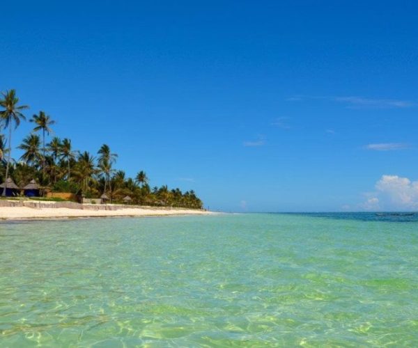 SEYYIDA-ET-PONGWE-BEACH-6-qqnzu05t62kzt0781gfv8v0cgvsybn67qot6jhu1do