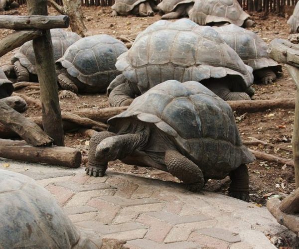 SEYYIDA-ET-THE-LOOP-12-qqo0ntlhyveg3ovzxcftcc4quwu4hzjoi9tolhmfzw