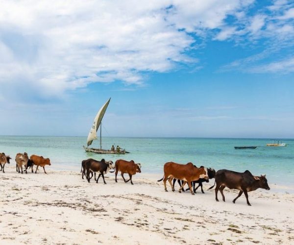 SEYYIDA-ET-THE-LOOP-15-qqo0nwf0jdib2irwgvnp1tf4n2g852uvins51bi9h8