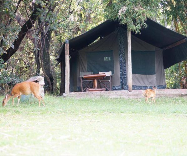 SIANA-SPRINGS-TENTED-CAMP-5