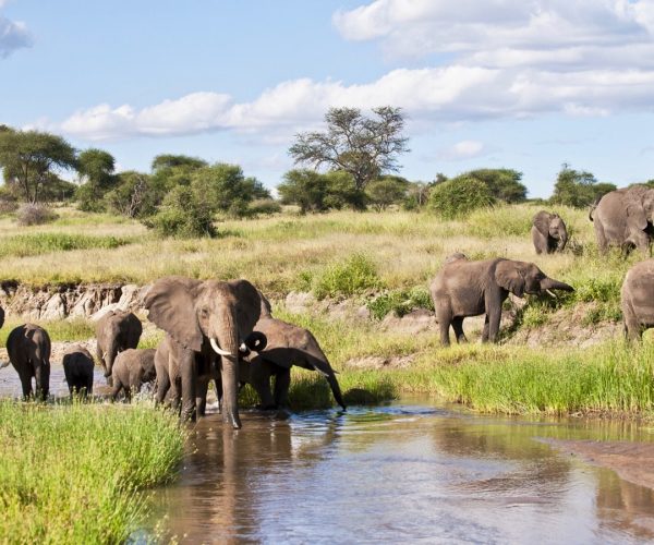 SIMBA LODGE (13)