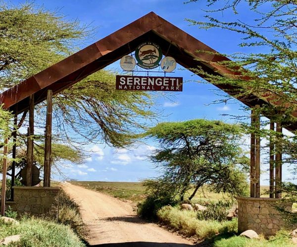 SIMBA LODGE (4)
