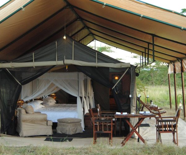 SIMBA LODGE (8)