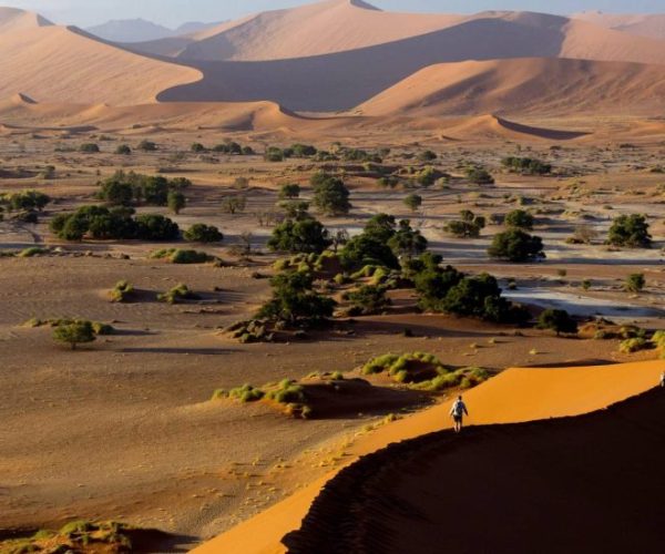 SOUS-LE-CHARME-NAMIBIEN2-qqo09az8ezj0shz4p2j8u00gkoe1m9wx6f3prn5c3g