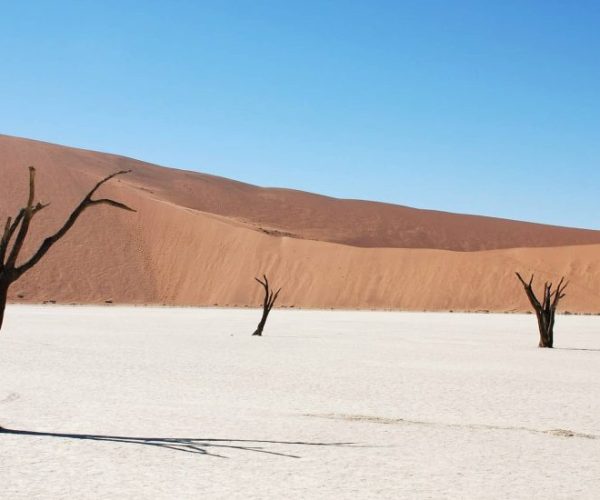 SOUS-LE-CHARME-NAMIBIEN7-qqo09fofd5pgejsaxmkdogtrjlqvorfkv2d560yd8c