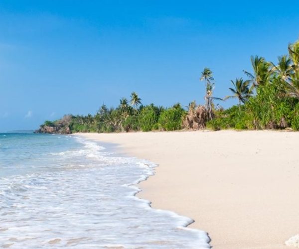 SPLENDEUR-AFRIQUE-PLAGE-1-r9yf9dbgcqhj81yinhlgf7birs2cukvaqyv1xdghvg