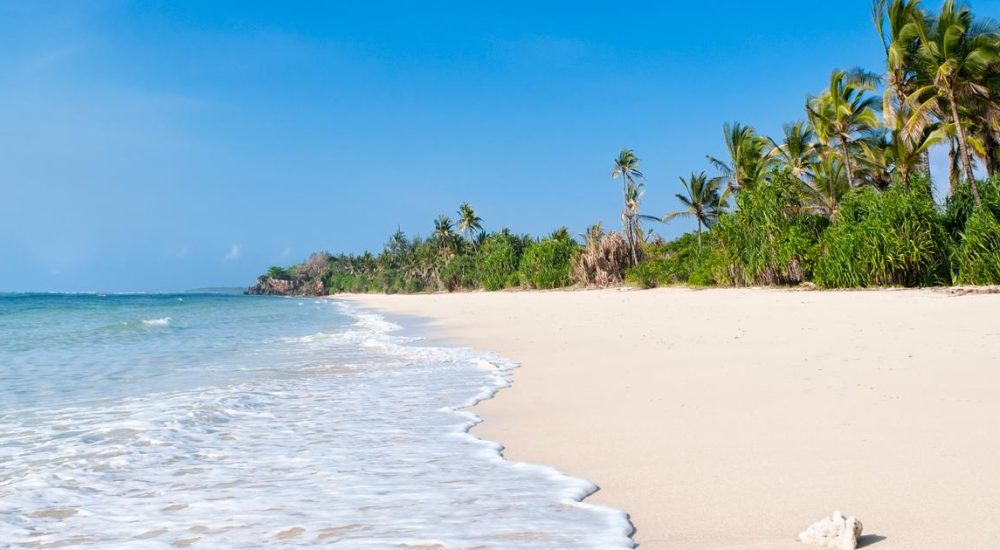 SPLENDEUR AFRIQUE + PLAGE (1)