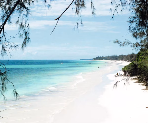 SPLENDEUR AFRIQUE + PLAGE (1)