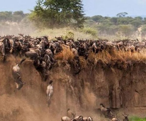 SPLENDEUR-AFRIQUE-PLAGE-2-r9yf9jwbokqjhboyl2fuennqxh5xcglf3vfgab6qnw