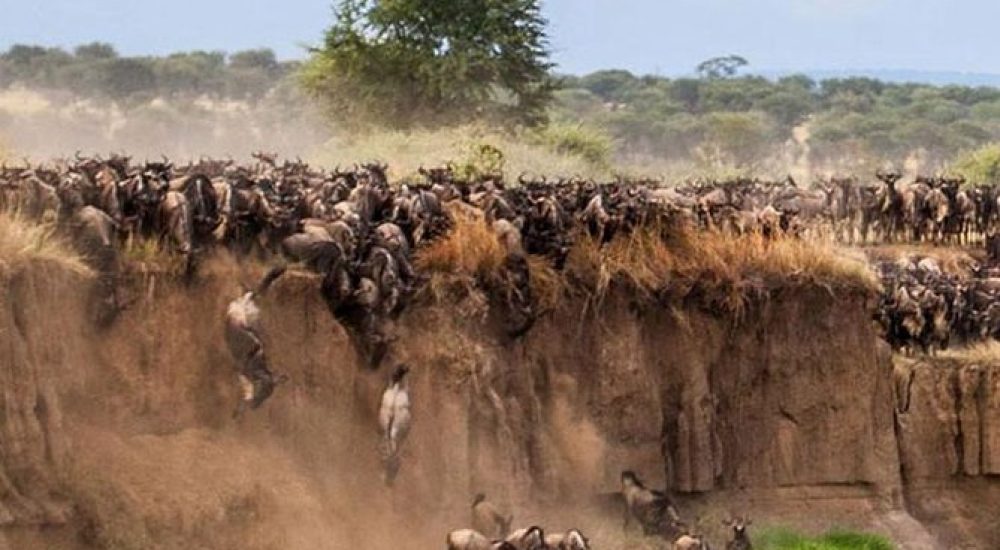 SPLENDEUR AFRIQUE + PLAGE (2)