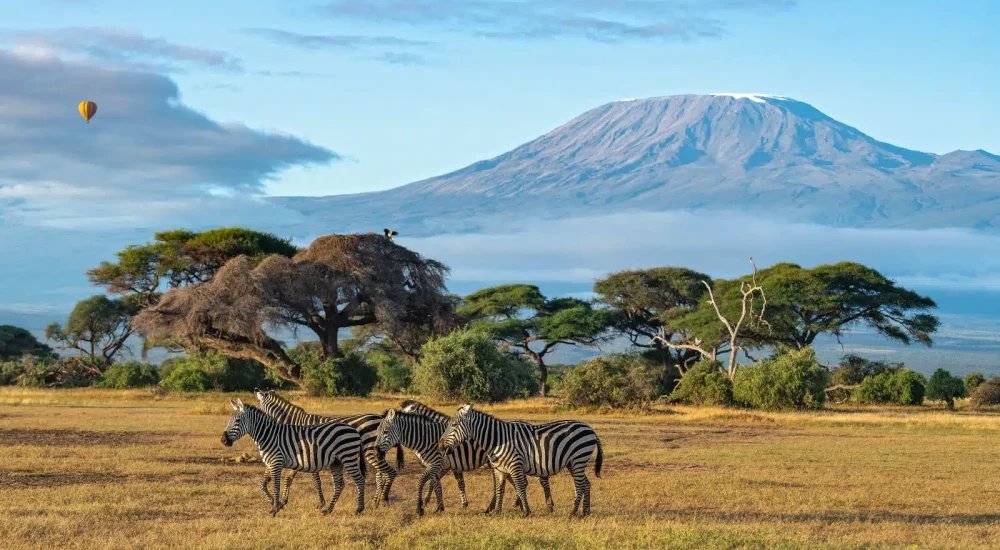 SPLENDEUR AFRIQUE + PLAGE (2)