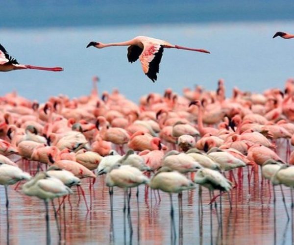 SPLENDEUR-AFRIQUE-PLAGE-6-r9yf9v6dyl5zcn8kr7bd8kta23mbwtu75f9a1mq0l8