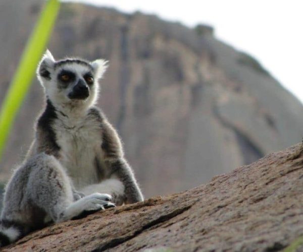 SUD-DANS-TOUS-SES-ETATS-6-qqo0clewc415fd73hhq8k64jf86ak4z3mpaw8i9qbg