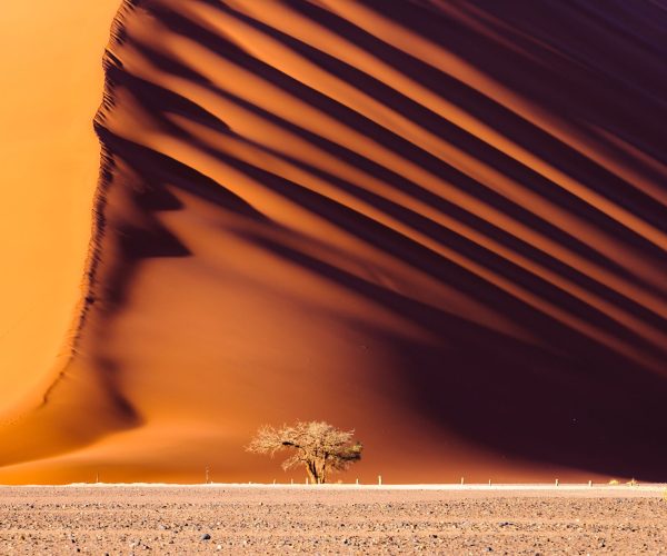 SUR LA ROUTE DE L ORYX (10)