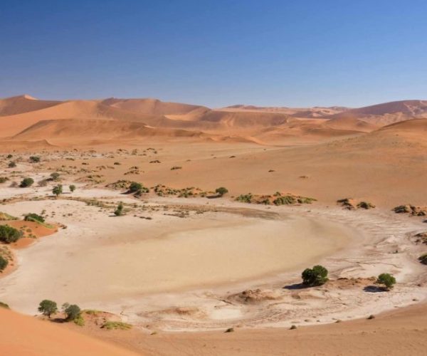 SUR-LA-TRACE-DE-L-ORYX-1-scaled-qqo09n74vtzqzfhdppte8exgaoptec9fk3l108n7uk