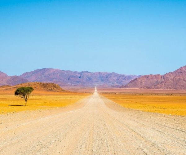 SUR-LA-TRACE-DE-L-ORYX-11-qqo09qyhn64w9vbx3rfwidzao87a94ocwm6yxchn5o