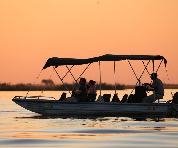 SUR LES PISTES DU BOTSWANA (14)