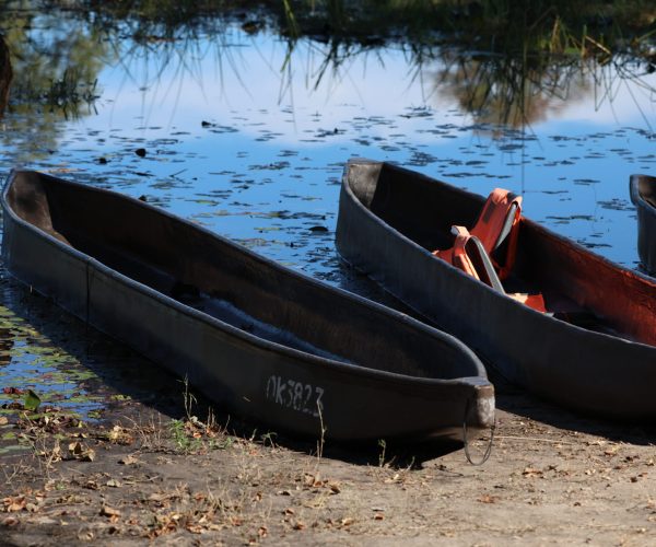 SUR LES PISTES DU BOTSWANA (15)