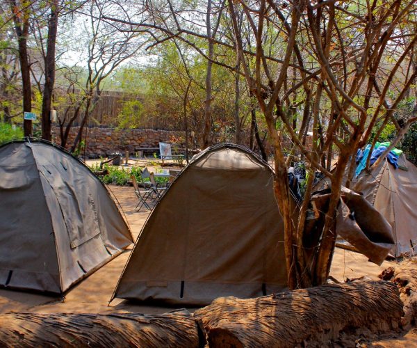 SUR LES PISTES DU BOTSWANA (4)