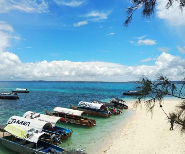 SWAHILI HOUSE ET NUNGWI BEACH HOUSE (3)