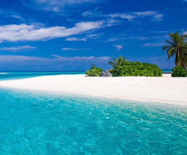 SWAHILI HOUSE ET NUNGWI BEACH HOUSE (6)