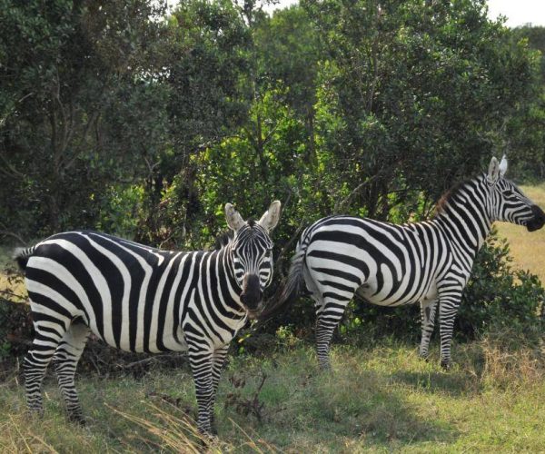 SWEETWATERS-TENTED-CAMP-2