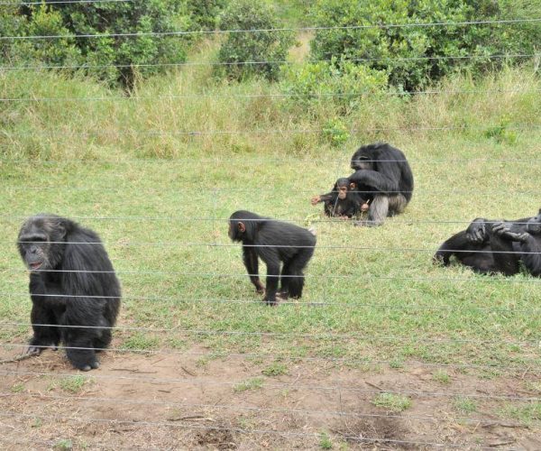 SWEETWATERS-TENTED-CAMP-8